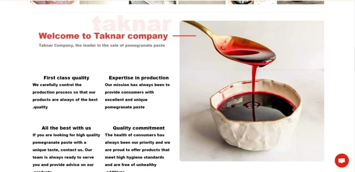 طراحی وب سایت انواع رب انار - تصویر 2