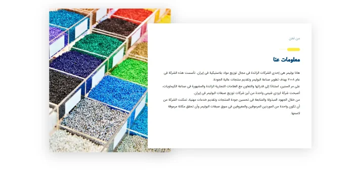 طراحی وب سایت گرانول - تصویر 2
