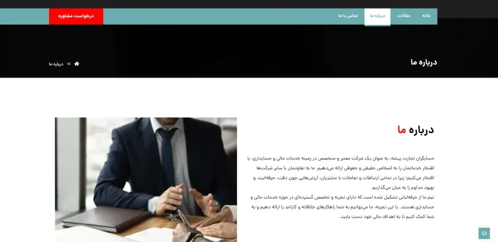 طراحی وب سایت خدمات حسابداری - تصویر 2