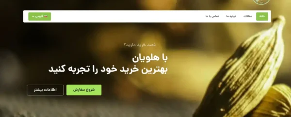 طراحی سایت هل