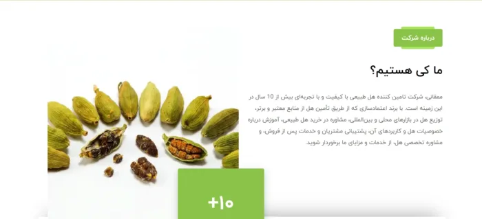 طراحی سایت هل - تصویر 2